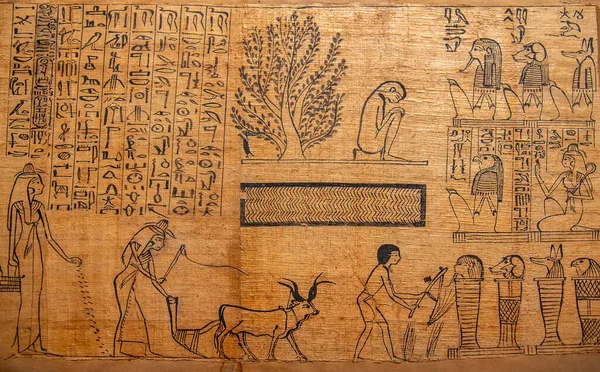 Ancient Papyrus Cairo Museum Egypt Detail — Stockfoto