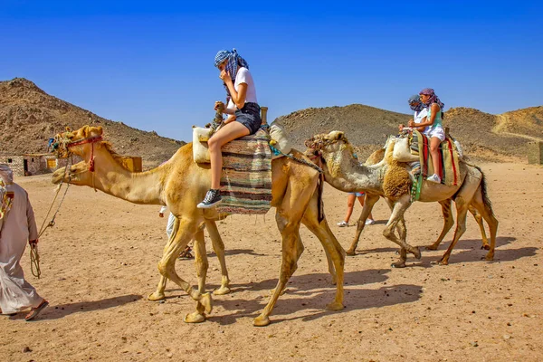 Niñas Montando Camello Desierto Egipcio — Foto de Stock