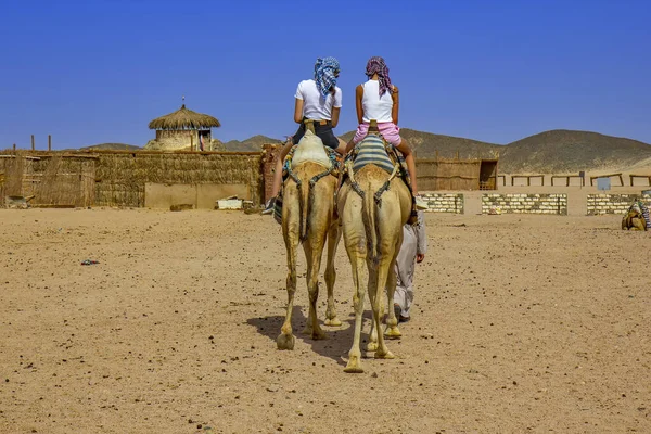 Dívky Velbloudech Egyptské Poušti — Stock fotografie