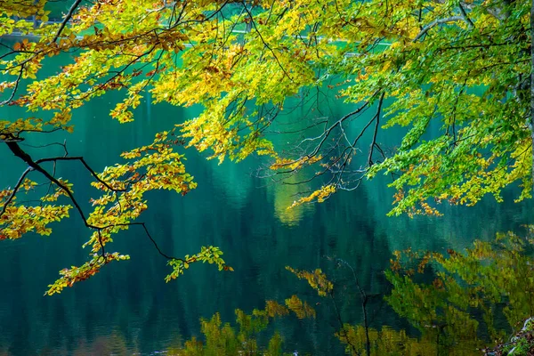 View Lake Autumn Water Reflection — Fotografia de Stock