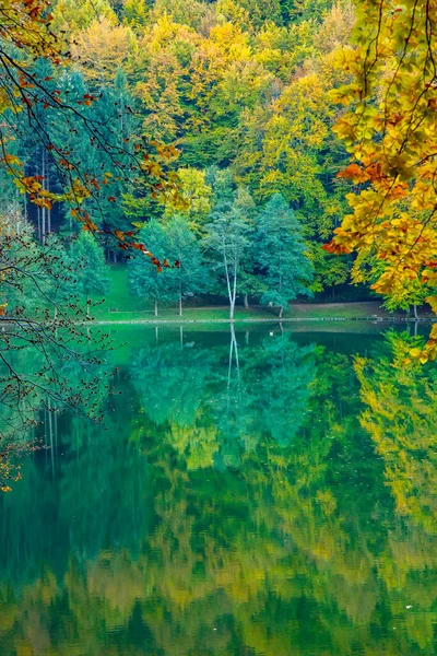 View Lake Autumn Water Reflection — стоковое фото