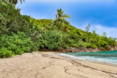 View of the beach on the Seychelles island