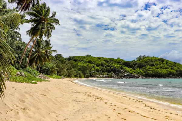 View Beach Seychelles Island — Stockfoto