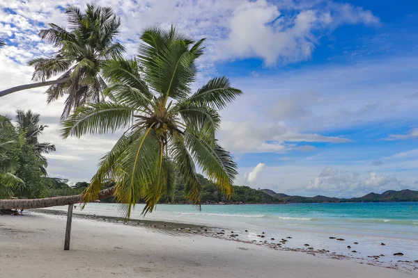 View Beach Seychelles Island — стоковое фото