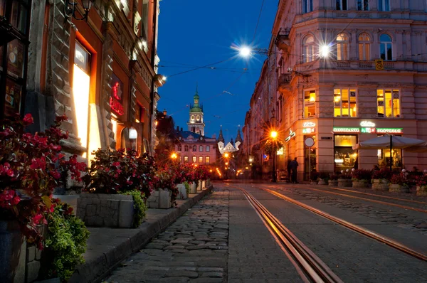 Lviv Rechtenvrije Stockafbeeldingen