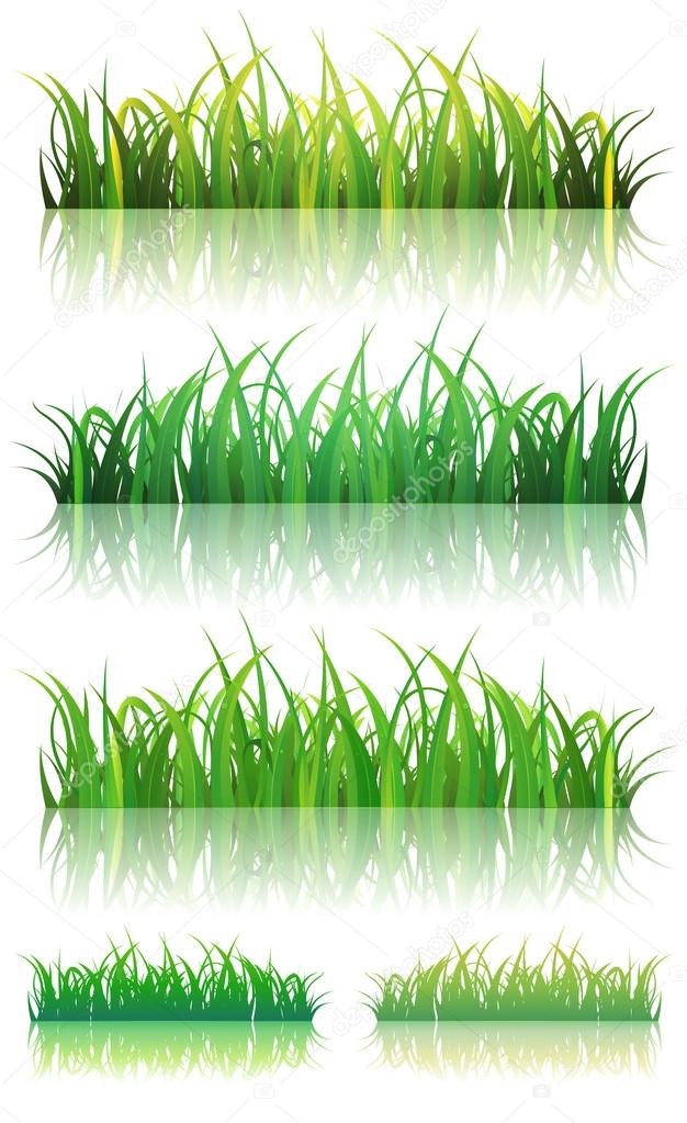 Spring Or Summer Green Grass Set