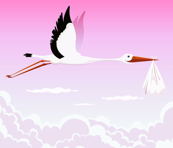Flying Stork Delivering Girl