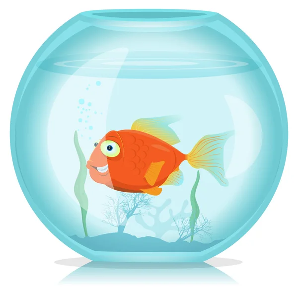 Gold Fish In Aquarium Royalty Free Stock Illustrations