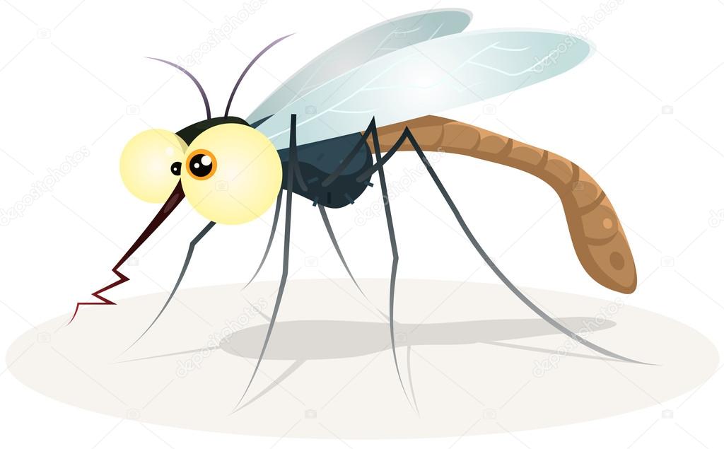 Mosquito Character
