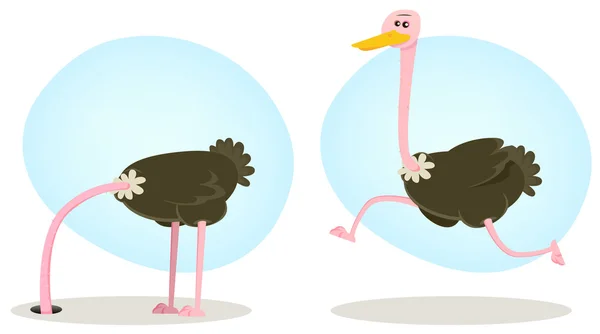 Ostrich Running And Hiding Head — Stock Vector