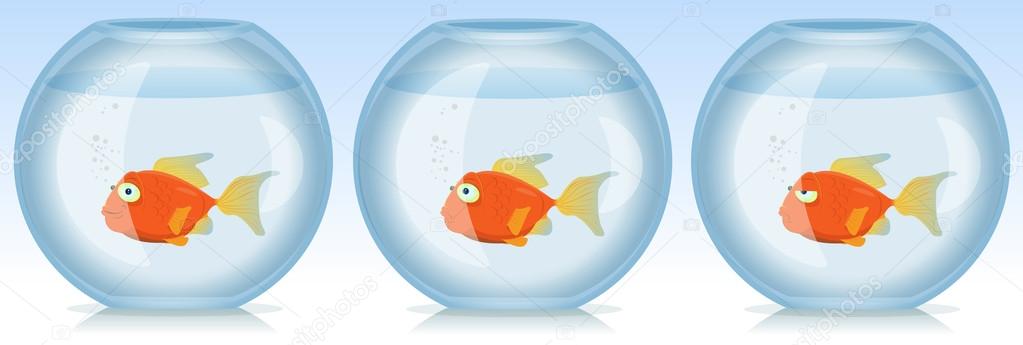 Gold Fish Life And Times In Aquarium Vector Graphics