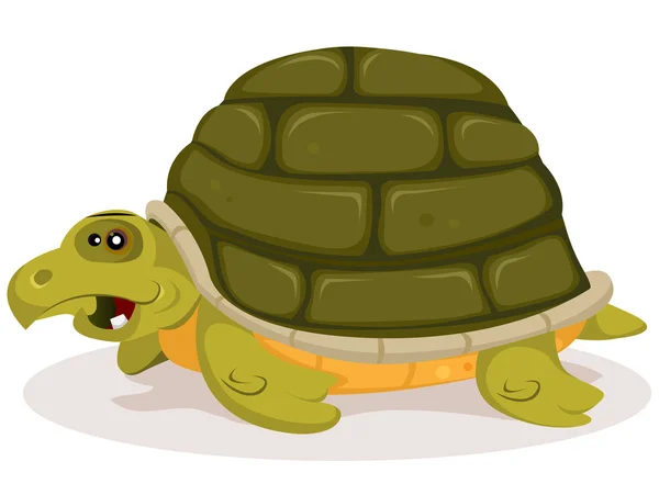 Söt sköldpadda seriefigur — Stock vektor