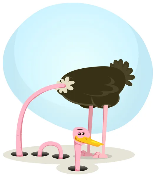 Ostrich Hiding And Looking From Hole — Stock Vector