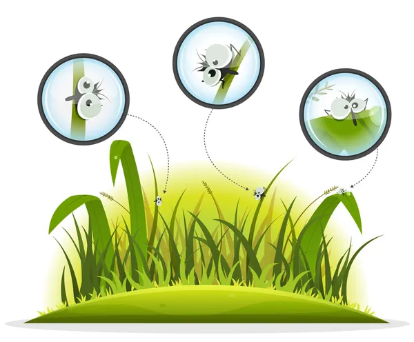 Carácter divertido insecto dentro de hierba de primavera — Vector de stock