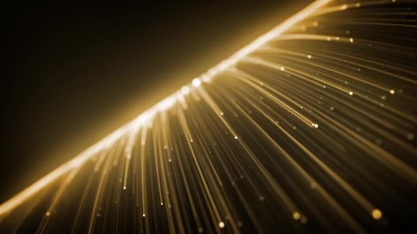 Abstrated Light Gold Strings Flowing Background Loop Анимация Фоновой Технологии — стоковое видео