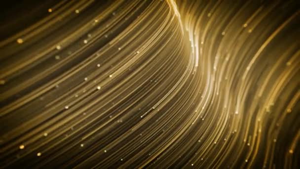 Abstract Light Gold Strings Flowing Background Loop Animation Abstract Wallpaper — Stock Video