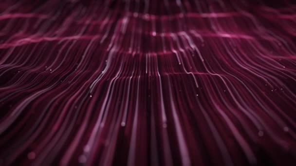 Streszczenie Light Fiber Strings Flowing Background Loop Animacja Abstrakcyjnej Technologii — Wideo stockowe