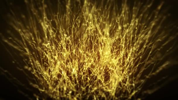 Abstrakte Goldfäden Bersten Hintergrund Animation Einer Abstrakten Tapete Hintergrund Platzen — Stockvideo