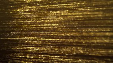 Abstract Gold Filaments Bursting Background/ 4k animation of an abstract wallpaper background of bursting gold filaments lines and particles sparkling with glimmer fx and depth of field