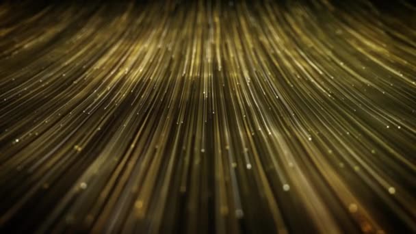 Abstract Gold Swirling Flowing Lines Achtergrond Animatie Van Een Abstracte — Stockvideo