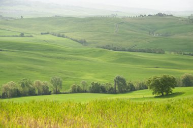 doğal Toskana peyzaj val d'orcia, İtalya