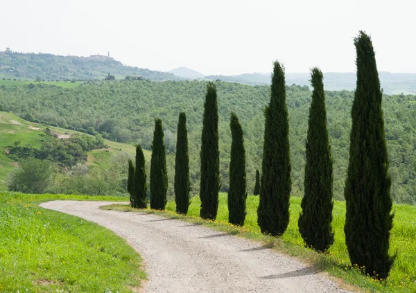 Paisaje escénico en Toscana en Val d 'Orcia, Italia — Foto de Stock