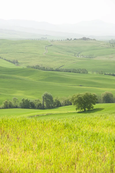 Scenic Tuscany landscape in Val d'Orcia, Italy — Stock Photo, Image