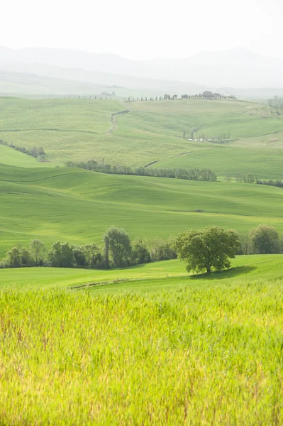 Festői toszkán tájban és a val d'orcia, Olaszország — Stock Fotó