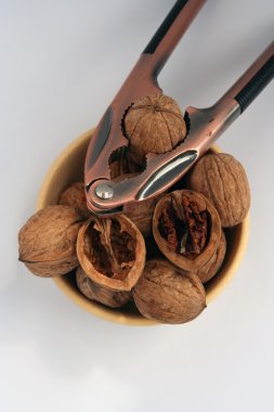 fındık krakeri