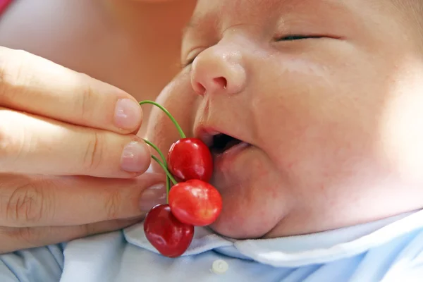 Baby knabbert Kirschen — Stockfoto