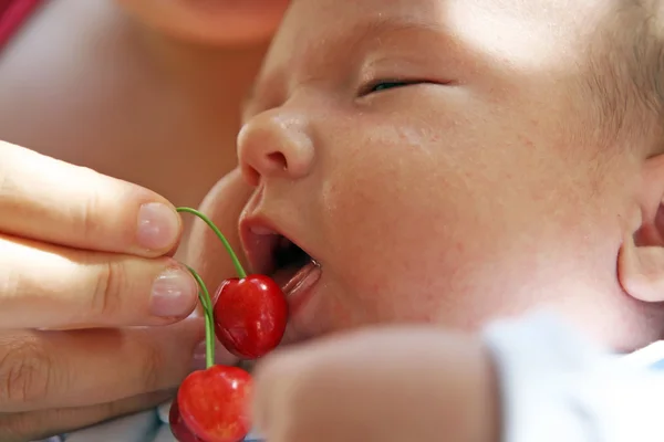 Bebê mordiscando cerejas — Fotografia de Stock