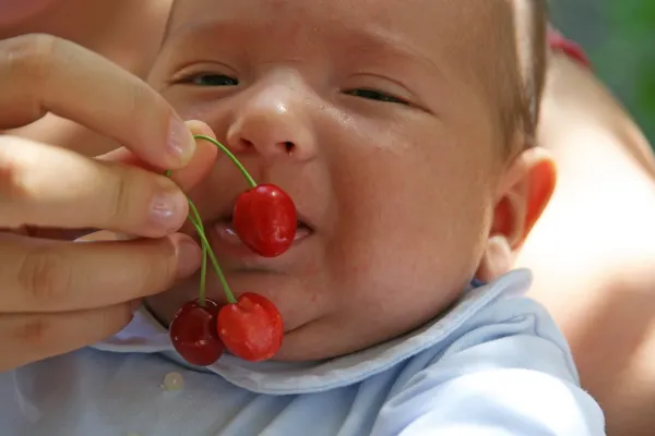 Baby knabbert Kirschen — Stockfoto