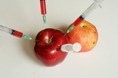 Genetiği değiştirilmiş gıda