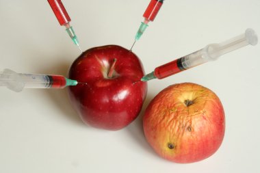 Genetiği değiştirilmiş gıda
