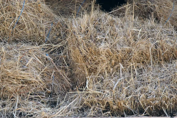 Hooi stapel — Stockfoto