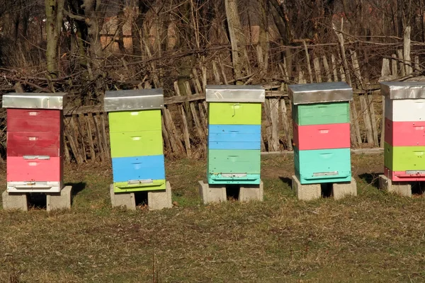 Colmena de abejas — Foto de Stock