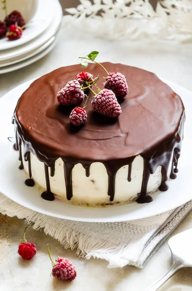 Лучший Шоколадный Малиновый Торт — стоковое фото