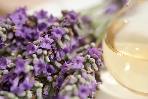 Aromaterapia com lavanda — Fotografia de Stock