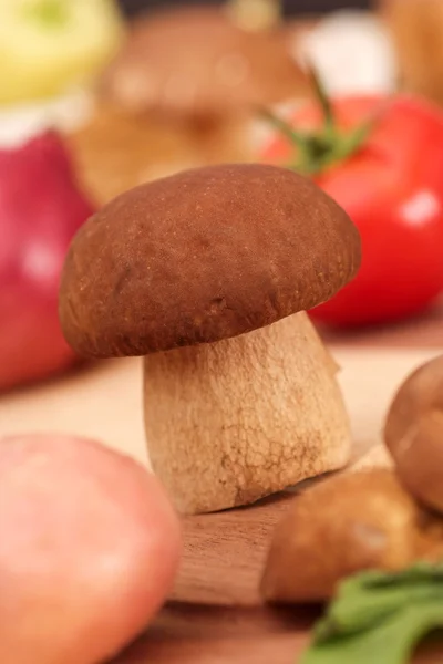 Cepe mushroom — Stock Photo, Image