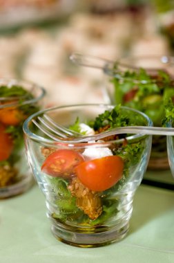 Susamlı piliç peynir ve salata ile