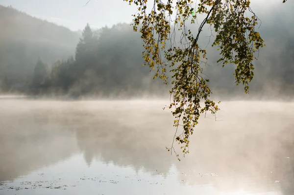 Misty lake — Stock Photo, Image