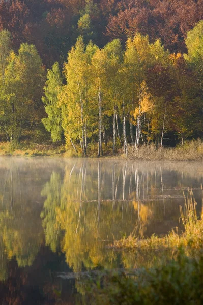 Fall colors reflected in lake — Stock Photo, Image