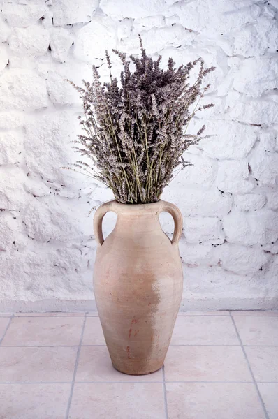 Lavender in old terracotta pot — Stock Photo, Image