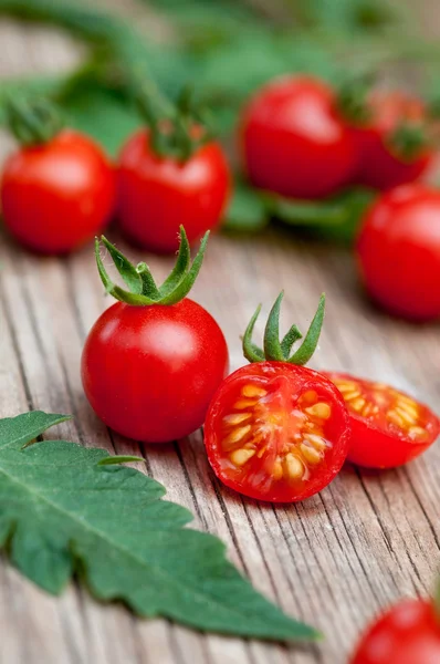 Kirschtomaten — Stockfoto