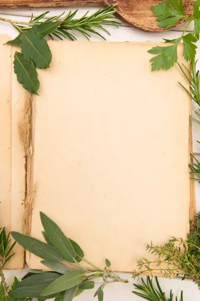 Fresh herbs background — Stock Photo, Image