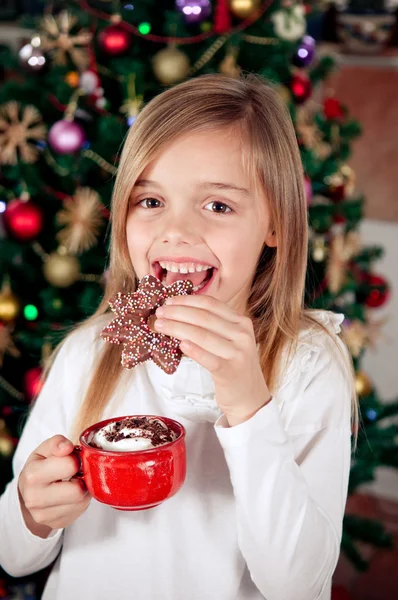 Kerstmis cookie — Stockfoto