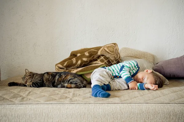 Pojke och katt som sover tillsammans — Stockfoto