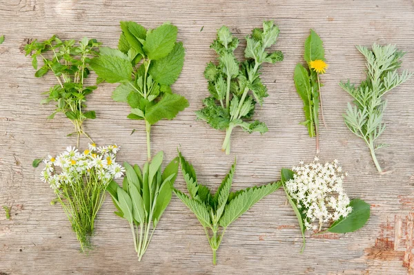 Variety of fresh herbs — Stock Photo, Image