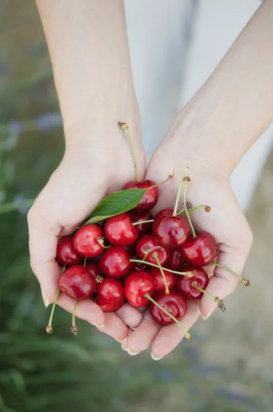 Cherries — Stock Photo, Image