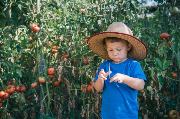 Küçük çiftçi — Stok fotoğraf